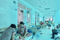 Số trẻ bị sốt xuất huyết tăng mạnh ở Cần Thơ