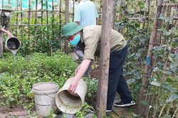 Hà Nội tăng cường phòng, chống sốt xuất huyết