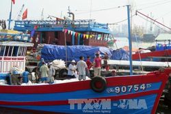 Khắc phục 'thẻ vàng' IUU: Nghiệp đoàn nghề cá nỗ lực gỡ thẻ vàng