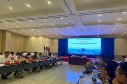 Bình Dương: Số ca mắc sốt xuất huyết và tay chân miệng tăng cao