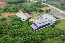 Hàng loạt dự án 'bảo tồn gen và lai tạo' bò Mông tại Bắc Kạn: Có mục đích thực sự nào ẩn khuất phía sau?