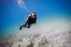 Tạm dừng lặn biển ở vịnh Nha Trang sau phản ánh san hô chết hàng loạt