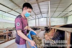 Hiệu quả giảm nghèo ở Quyết ThắngTin khácBáo chí Lạng Sơn tiếp tục đổi mới, đồng hành cùng sự phát triển của tỉnhPhát huy tiềm năng về năng lượng tái tạo