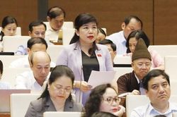 Đóng góp chất lượng vào công tác xây dựng pháp luật