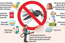 Bình Dương: Đã có 8 trường hợp tử vong do sốt xuất huyết