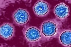 Phát hiện virus bại liệt trong nước thải, Anh tuyên bố sự cố quốc gia