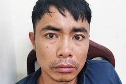 Trộm cây cảnh, 1 đối tượng bị bắt