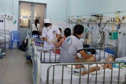 29 người tử vong vì sốt xuất huyết, lo ngại bùng dịch