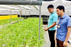 Ban hành Nghị quyết về tiếp tục đổi mới, phát triển và nâng cao hiệu quả kinh tế tập thể trong giai đoạn mới