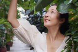 Ngô Ỷ Lợi chật vật kiếm tiền ở tuổi 49