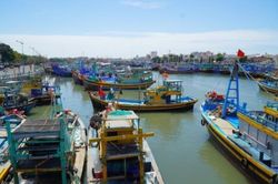 40-55% tàu cá không thể ra khơi vì giá dầu tăng 65%, Bộ NN-PTNT ra công văn khẩn