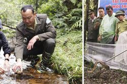 Thả 20 cá thể động vật về rừng Hoàng Liên: Toàn loài quý hiếm!