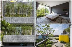 Giữa Sài thành, nhà ống không thiếu gió và cây xanh