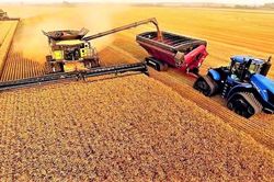 Nga-Ukraine lời qua tiếng lại về cáo buộc ngăn cản tàu chở ngũ cốc, Kiev 'nhờ cậy' châu Phi hành động