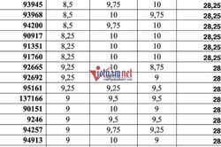 Top 70 thí sinh có điểm xét tuyển vào lớp 10 TP.HCM cao nhất