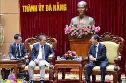 Đà Nẵng: Đẩy mạnh thu hút đầu tư từ các doanh nghiệp Nhật Bản