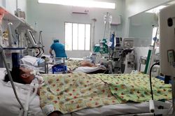 Dịch sốt xuất huyết diễn biến căng thẳng ở các tỉnh phía Nam
