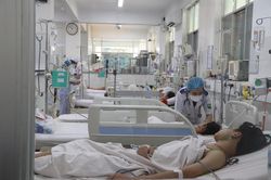 77.000 người mắc sốt xuất huyết, 30 người tử vong