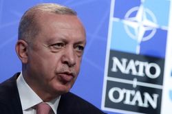 Ông Erdogan sẽ gặp trực tiếp lãnh đạo Thụy Điển, Phần Lan