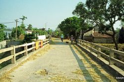 Bức tranh bình yên về vùng quê Hà Tây năm 1996
