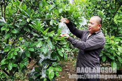 Hội viên nông dân năng động phát triển kinh tếTin khácĐẩy mạnh tuyên truyền học tập và làm theo tư tưởng, đạo đức, phong cách Hồ Chí MinhBáo chí Lạng Sơn tiếp tục đổi mới, đồng hành cùng sự phát triển của tỉnh