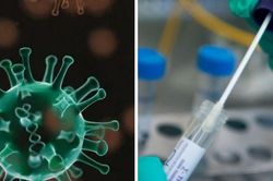 Biến thể mới Omicron BA.5 xuất hiện ở Việt Nam nguy hiểm thế nào?