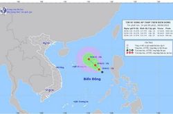 Các tỉnh, thành từ Quảng Ninh-Khánh Hòa chủ động ứng phó với áp thấp