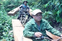 Vì sao vùng giáp ranh Gia Lai-Đắk Lắk-Phú Yên thành điểm nóng phá rừng?
