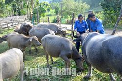 Sức trẻ vùng đất khó