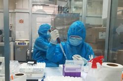 33 gói thầu mua sắm sinh phẩm, kít xét nghiệm COVID-19 tại CDC Đà Nẵng có dấu hiệu phạm tội