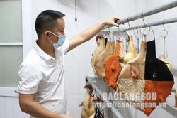Vịt quay Tỳ Bà, vịt quay bóng đêm: món ăn mới lạ mang đậm tinh hoa ẩm thực truyền thống Xứ LạngTin khácCông tác dân vận tạo sự đồng thuận trong giải phóng mặt bằngĐẩy mạnh tuyên truyền học tập và làm theo tư tưởng, đạo đức, phong cách Hồ Chí Minh
