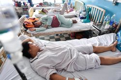 Nhiều người lớn gặp nguy hiểm khi sốt xuất huyết tấn công