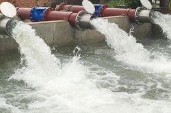 Nâng cấp, xây dựng mới trạm bơm điện đảm bảo nước tưới lúa hè thu