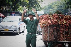 Bắc Giang chung tay hỗ trợ bà con mùa thu hoạch vải thiều