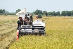 Chuyển đổi số để phát triển nông nghiệp bền vững
