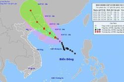 Công điện của Thủ tướng Chính phủ yêu cầu tập trung ứng phó bão số 1 và mưa lũ