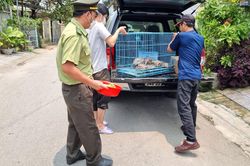 Giải cứu thú hoang