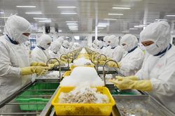 Món hàng Việt 10 tỷ USD: Mỹ thành khách hàng lớn nhất, Trung Quốc tăng mua gấp đôi