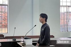 Lĩnh án vì trộm tiền và điện thoại trong xe máy đang dựng trên vỉa hè
