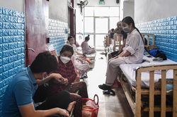 Ca sốt xuất huyết tăng báo động ở Nhà Bè và Cần Giờ