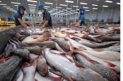 Kim ngạch xuất khẩu thủy sản tăng 40% trong nửa đầu năm 2022