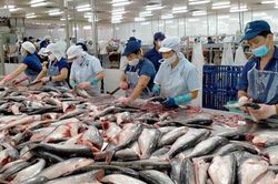 6 tháng XK thủy sản của Việt Nam đạt gần 5,8 tỷ USD, tăng 40% so với nửa đầu năm 2021
