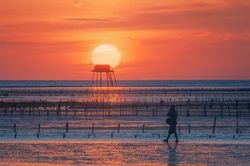 Bãi biển hoang sơ ở Thái Bình với những chòi canh ngao ẩn hiện đầy thơ mộng