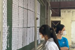 Hà Tĩnh: Điểm chuẩn vào lớp 10 công lập tăng mạnh