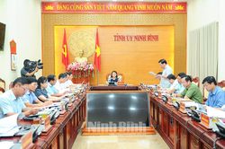 Hội nghị Ban Thường vụ Tỉnh ủy