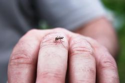 Người đàn ông ở Hà Nội nguy kịch vì cùng mắc Covid-19, sốt xuất huyết