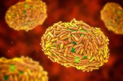 Nơi virus đậu mùa khỉ tồn tại nhiều nhất