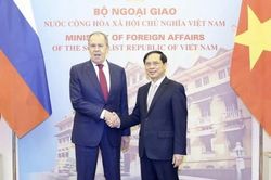 Bộ trưởng Ngoại giao Bùi Thanh Sơn hội đàm với Bộ trưởng Ngoại giao Nga Sergey Lavrov