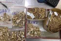 Bắt nhóm nghi phạm đột nhập tiệm vàng, trộm 60 lượng
