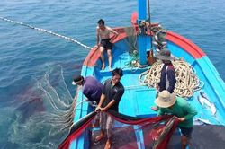 Đề xuất dùng ngân sách để bù giá xăng dầu cho ngư dân